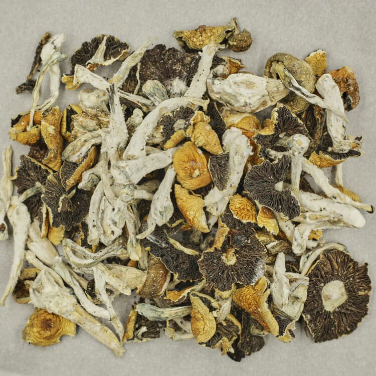 Alacabenzi - Image 2