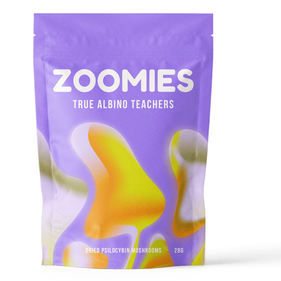 True Albino Teachers